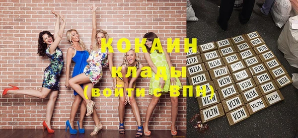 МДПВ Пересвет