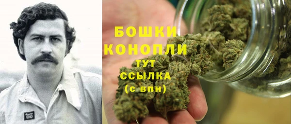 МДПВ Пересвет