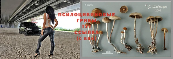 винт Пестово