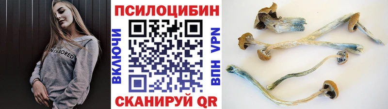 Галлюциногенные грибы ЛСД  omg tor  Бабаево 