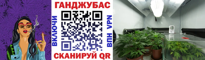 Канабис Bruce Banner  блэк спрут как зайти  Бабаево 